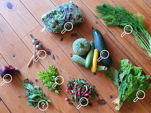 groentenpakket uitleg